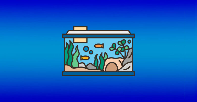 Как перевозить аквариум с рыбками при переезде
